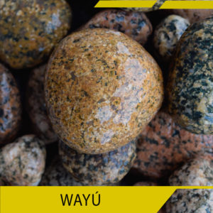 Wayú