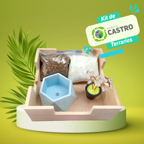 Kit de Terrario Deposito Castro